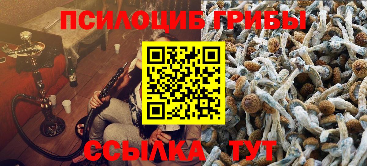 Мурино  Псилоцибиновые грибы прущие грибы  Вход с VPN  Галлюциногенные грибы Magic Shrooms 