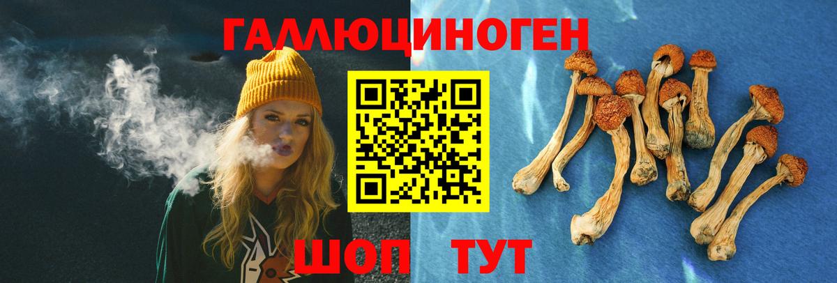 Галлюциногенные грибы прущие грибы Мурино
